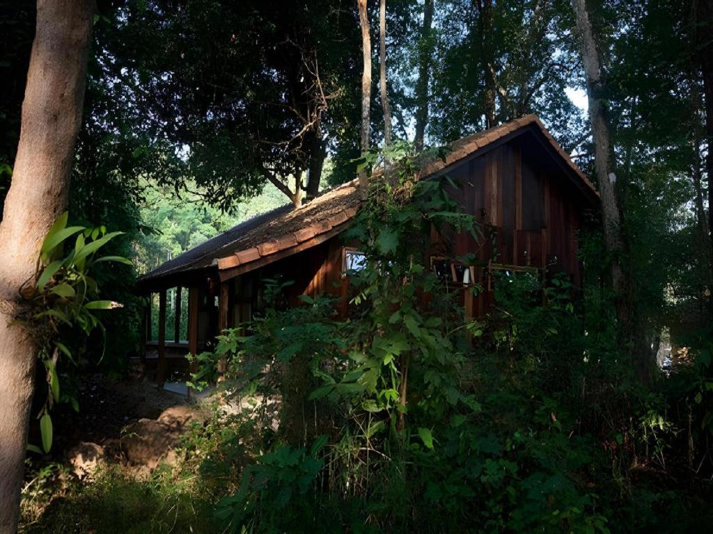 Forest Floor Lodge Cát Tiên Exterior foto