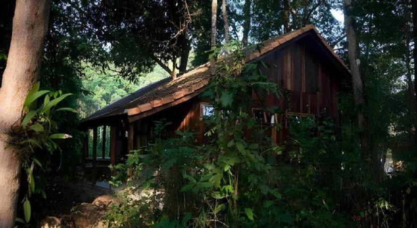 Forest Floor Lodge Cát Tiên Exterior foto